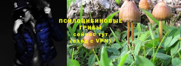 крисы Алексеевка